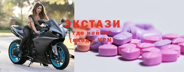 хмурый Няндома
