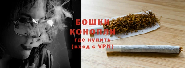 хмурый Няндома