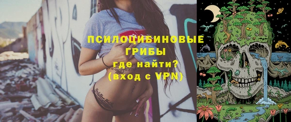 ALPHA PVP Нягань