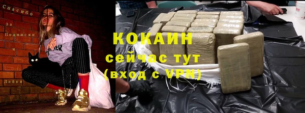 хмурый Няндома